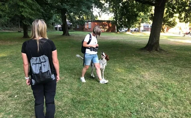 Einzeltraining mit natural.dogs
